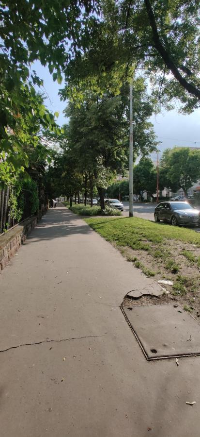 Dorothy Apartment Near Budapest City Park Bagian luar foto